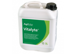 vitalyte